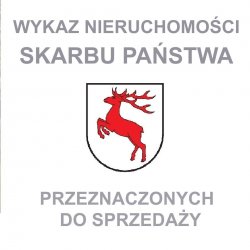 Zdjęcie newsa