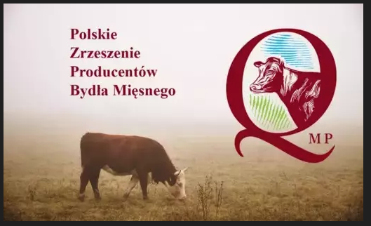 Webinary dla hodowców bydła mięsnego o systemie QMP
